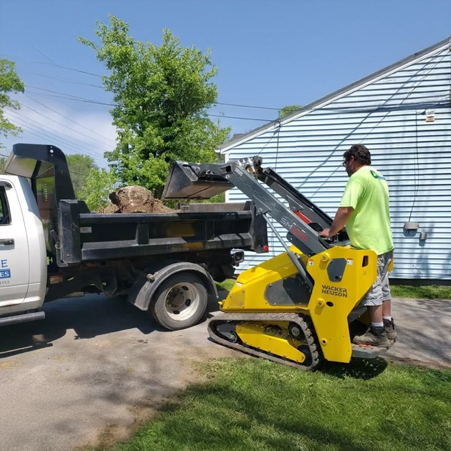 Mini Skid Steer hover
