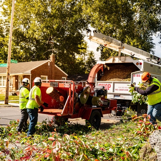 Wood Chipper - 12" hover