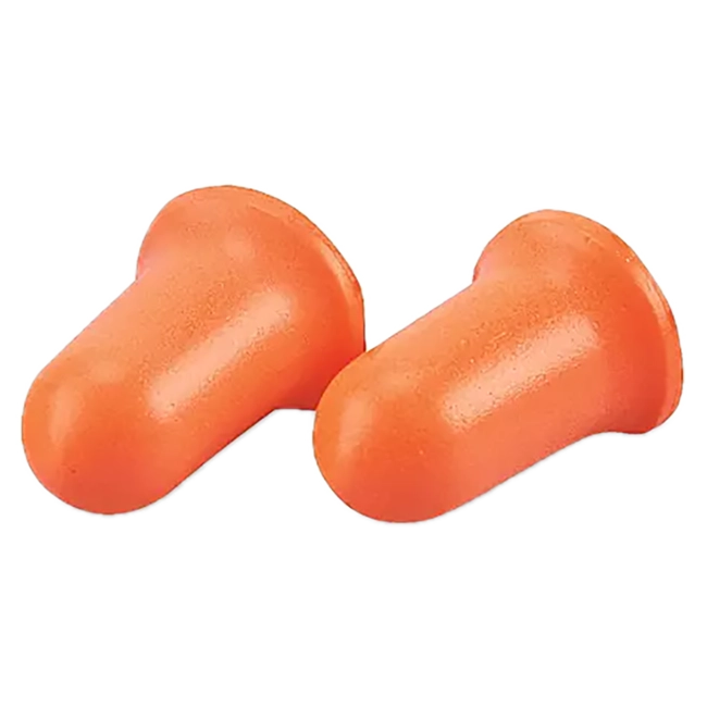 Ear Plugs - 10 count hover