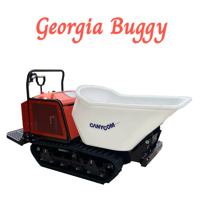 Georgia Buggy - Daily